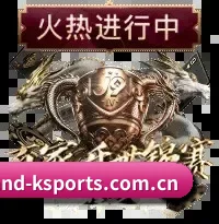 k体育 APP 界面